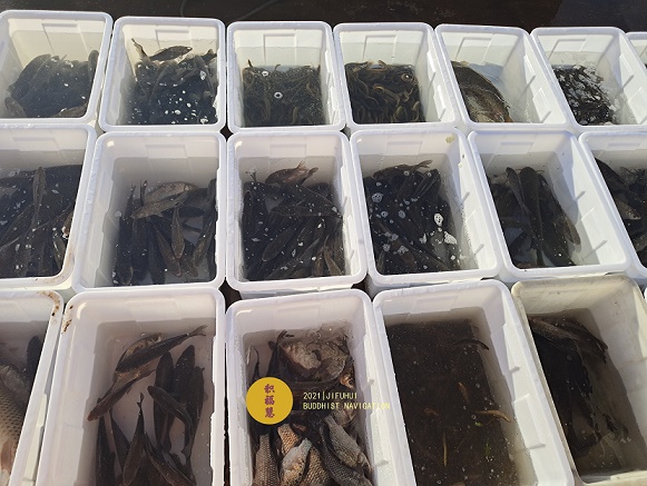 ���գ���������������������ڷ������ޣ���ϲ�μӣ�