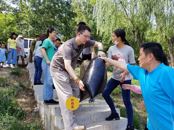 ���գ���������������������ڷ������ޣ���ϲ�μӣ�