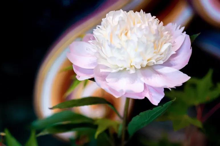 �����Ϻ�����¼����������һ�����Ρ���