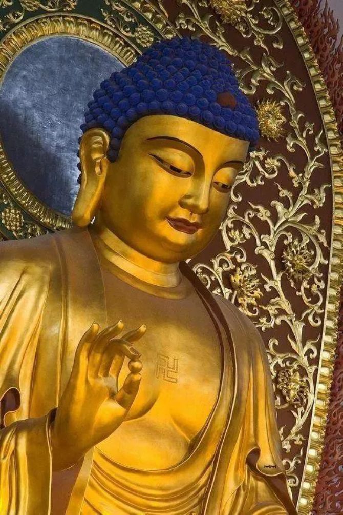 ���ɲ����ķ𾭡��������ּ������䡷