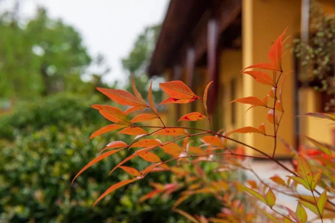 ��ΰ��Լ����һ���������ˣ�