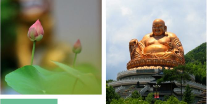 ��������������ɽ�ſڣ��к�Ԣ�⣿