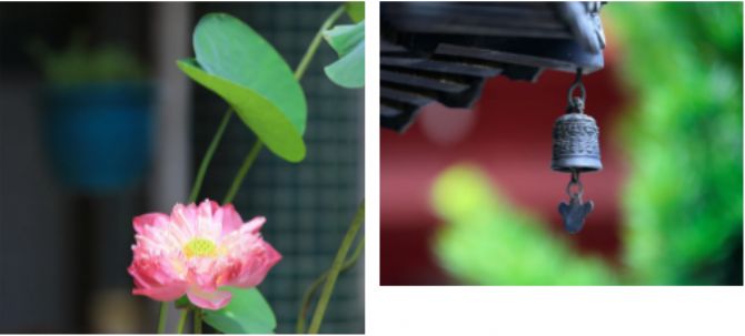 ��������������ɽ�ſڣ��к�Ԣ�⣿