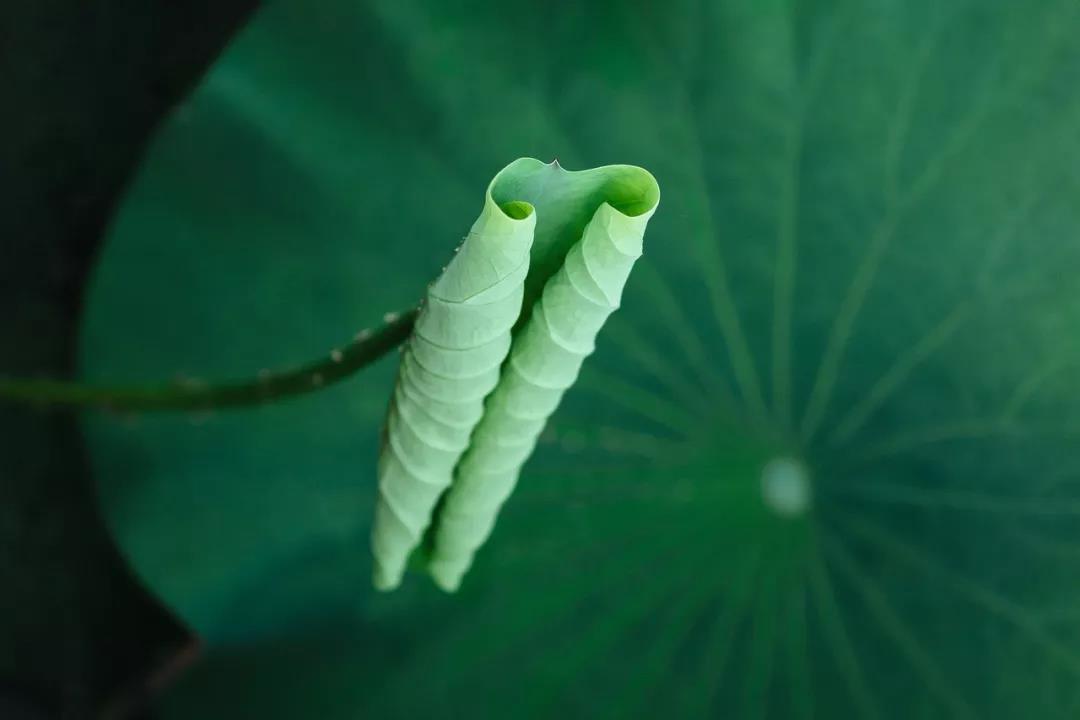 ����ˣ�����Ҫ����������������