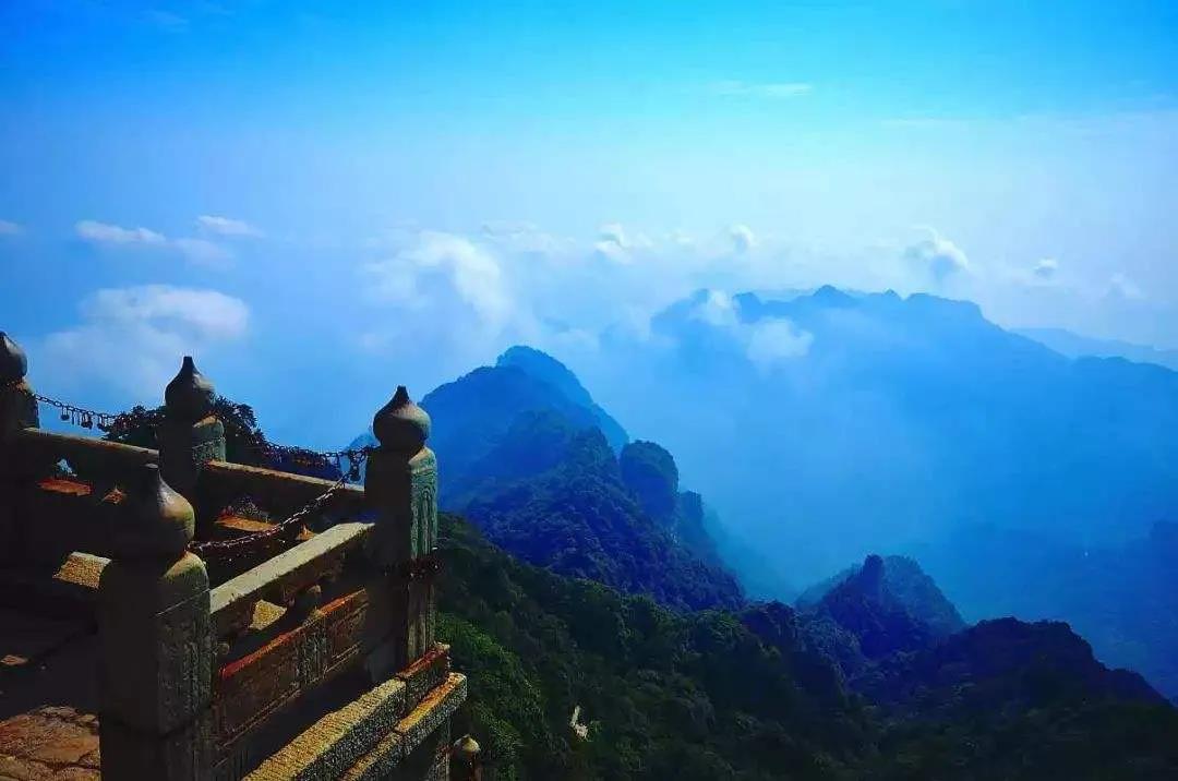 �����Ӧ�������ȷ����������