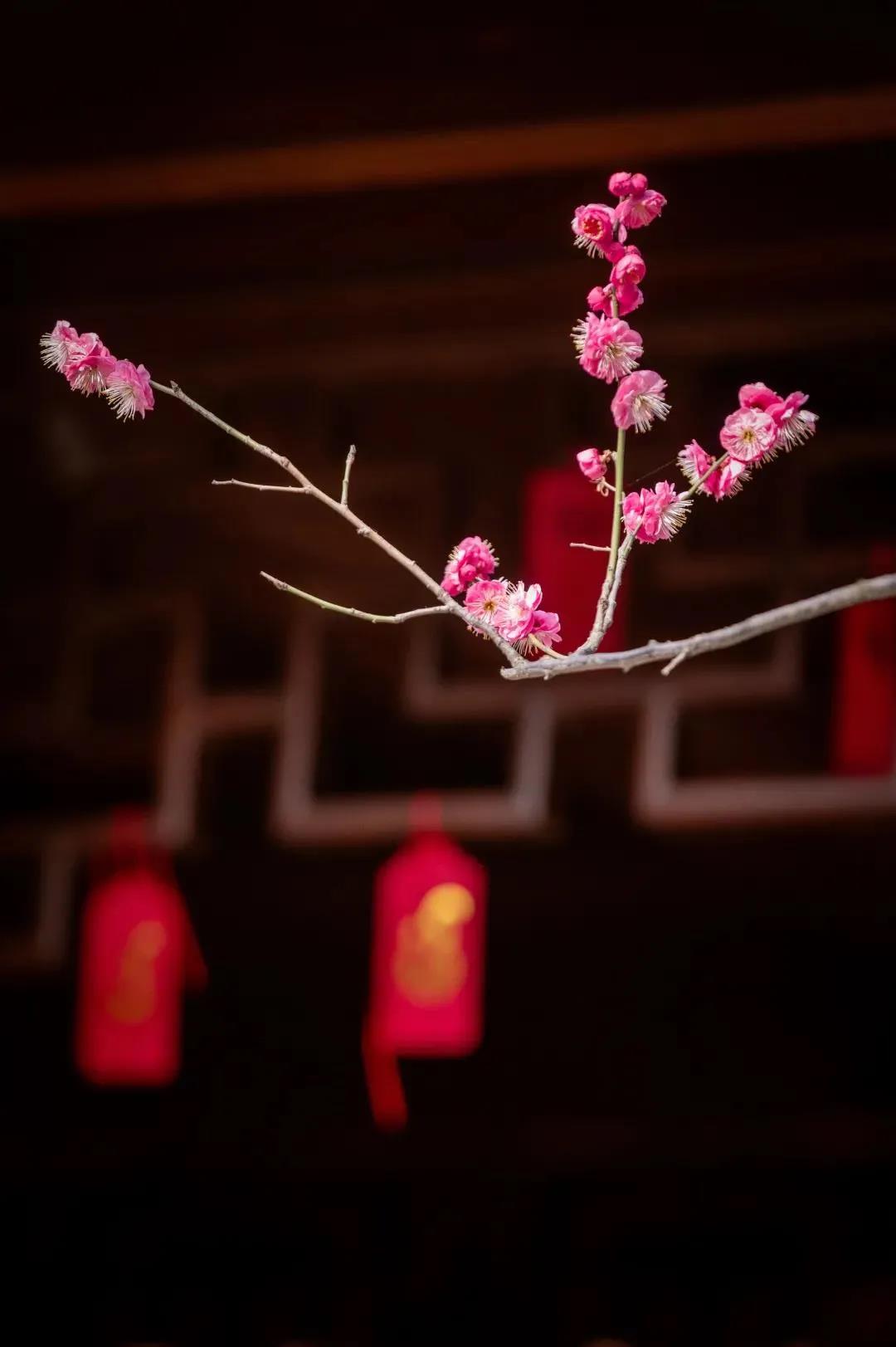 ӡ�ⷨʦ�����Զ��ף����겻�����⣬��Ϊ����