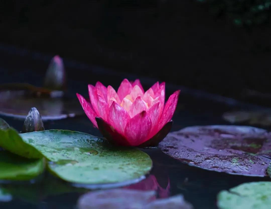 ���ÿ�첼ʩ�����¸�������˼�飡