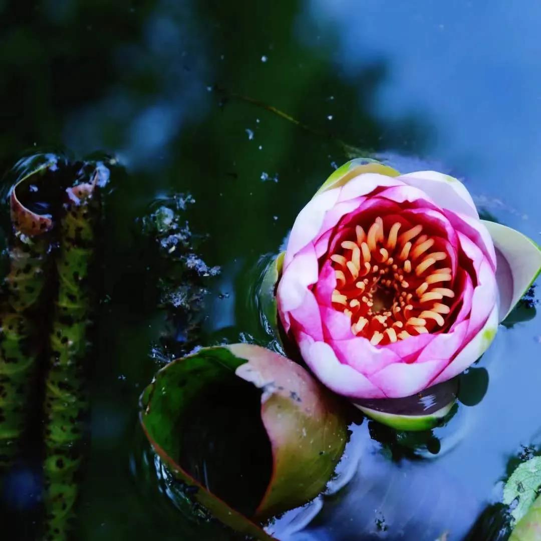 �����������𣿽�����ȷ����𷽷�