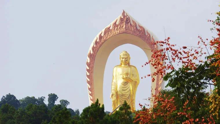 �����������𣿽�����ȷ����𷽷�