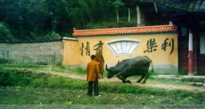 ������ʵ��֧��ɽ����ţԤ֪ʱ��������ͯ