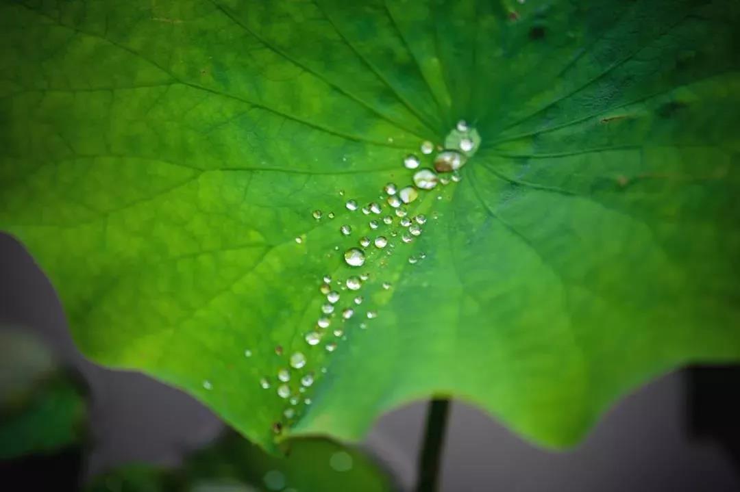 ��ͷ�಻Ҫ�������Ҿͺ�