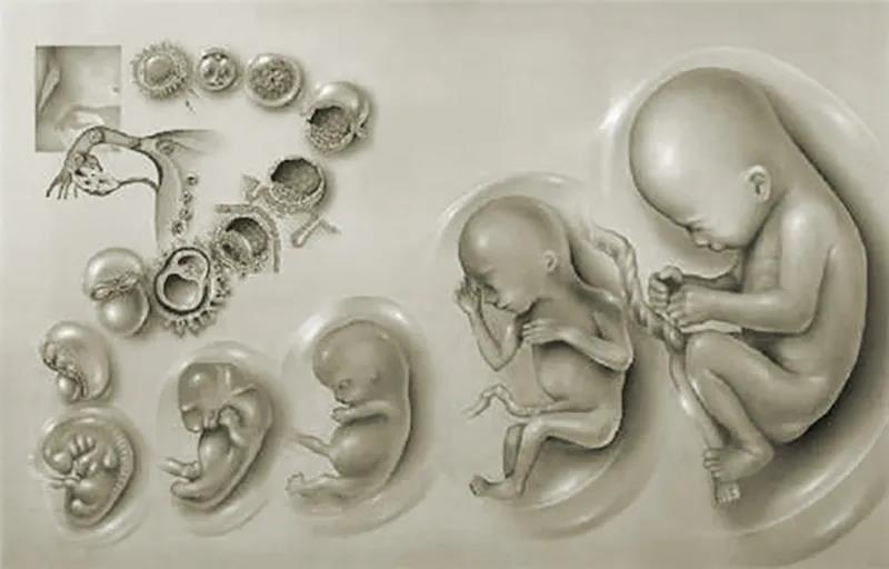 ��������£��޾�ҵ��������ǳ�ǿ�󡭡�