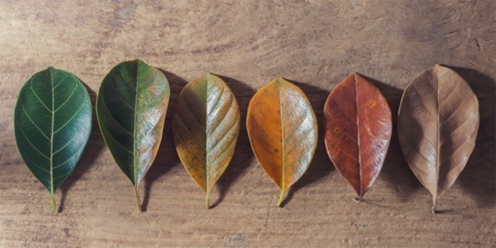 ��������£��޾�ҵ��������ǳ�ǿ�󡭡�