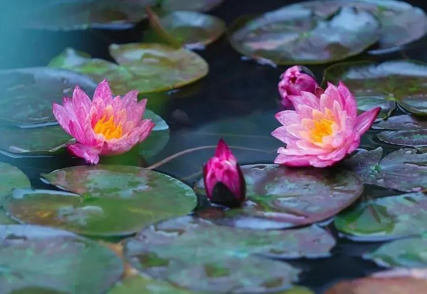 ���÷���ı��󰵲���������˽���