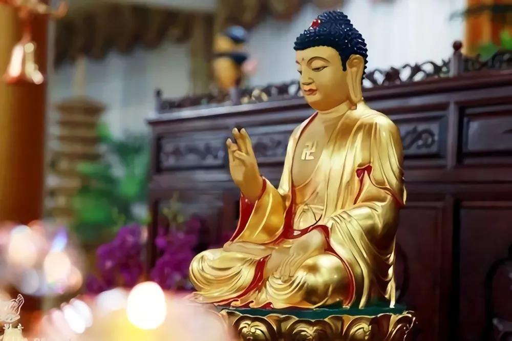 ���������ŷ���Щ���鲻Ҫ��