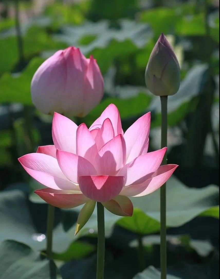 ���������ŷ���Щ���鲻Ҫ��