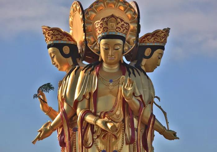 ѧ�����о���ת�������Ϊ��תʱ�����ھ����У�