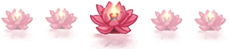 今日恭迎观世音菩萨圣诞!祈愿众生消灾免难,离诸苦恼! 今日恭迎观世音菩萨圣诞!祈愿众生消灾免难,离诸苦恼!