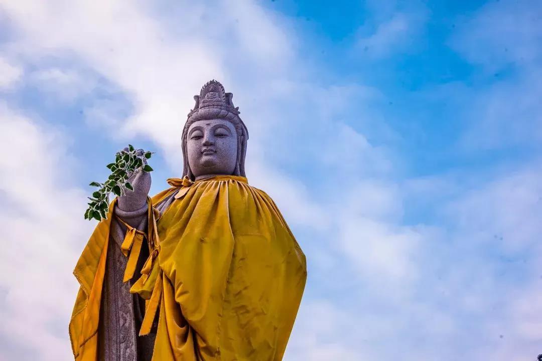 ���������������ĳ�����֮���֣�_��Ӧר���ұ�ʦ����������