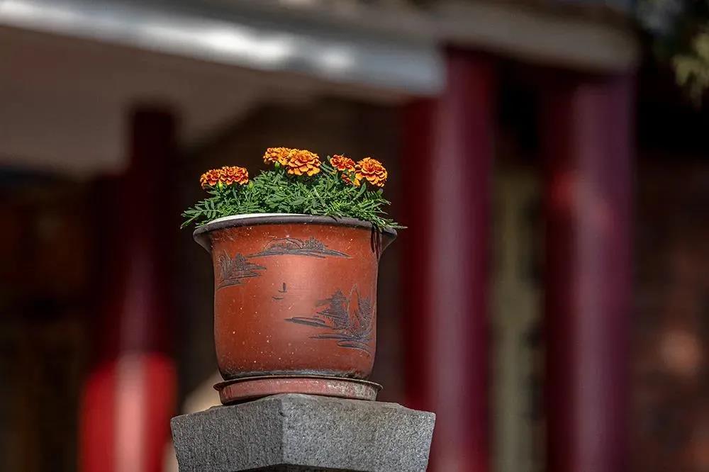 ��ζԴ���ĸ����������Т˳��