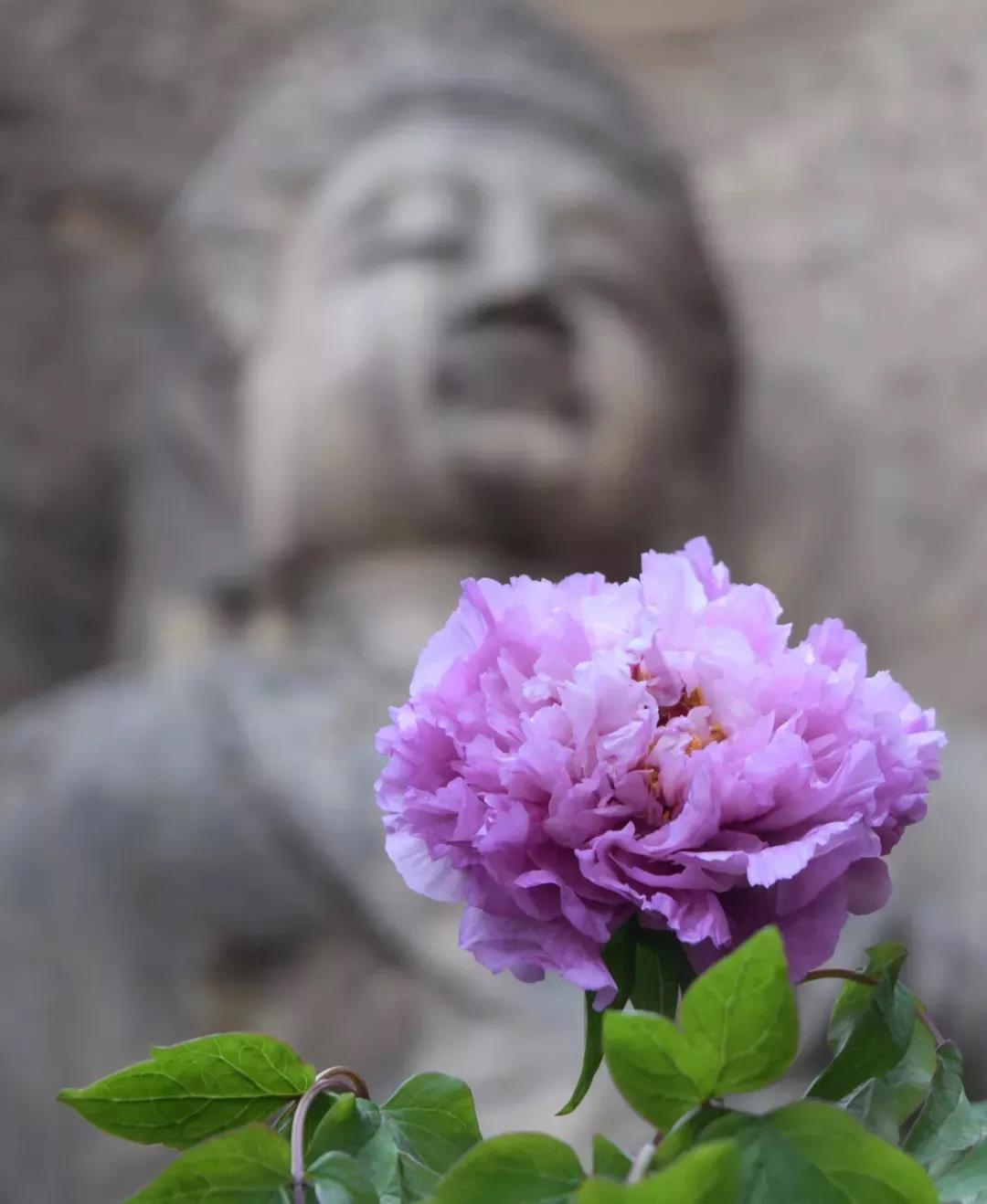 �����Լ�ѧ�������������־