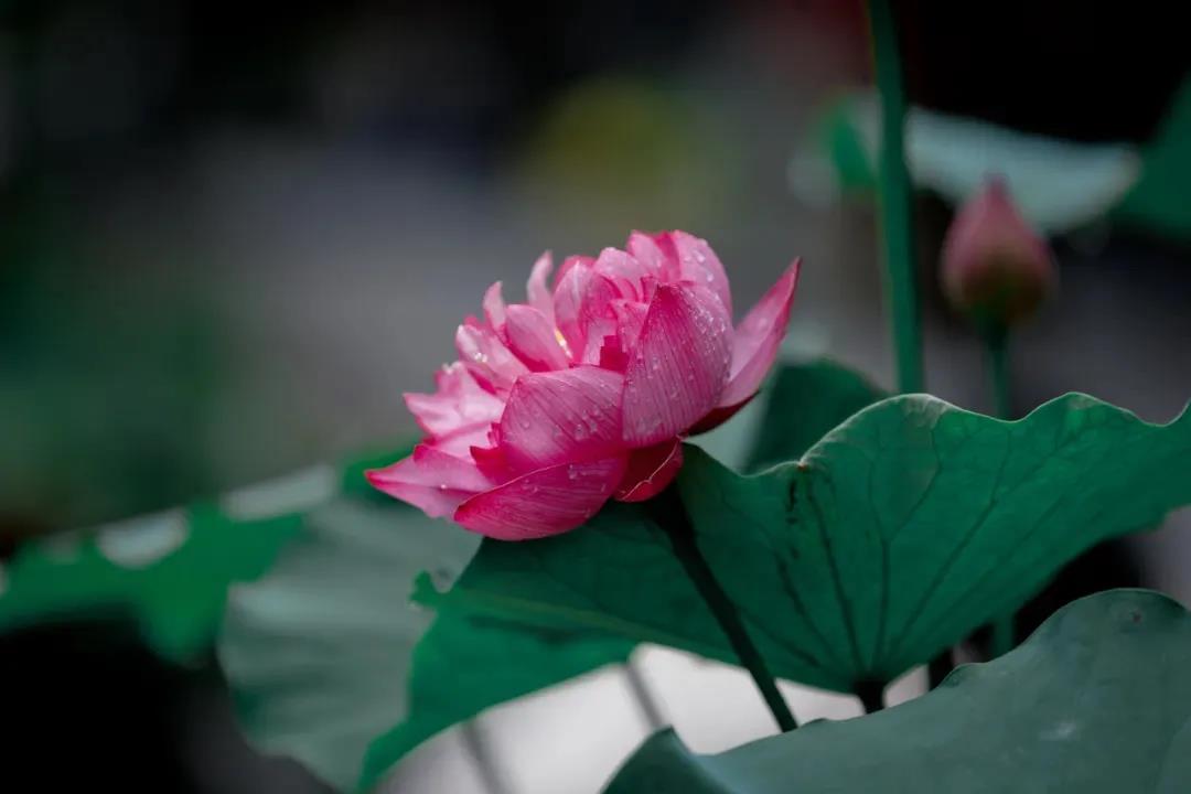 �����Լ�ѧ�������������־