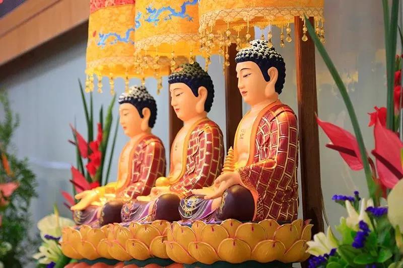 ����ʮ����̬��������һ�֣�