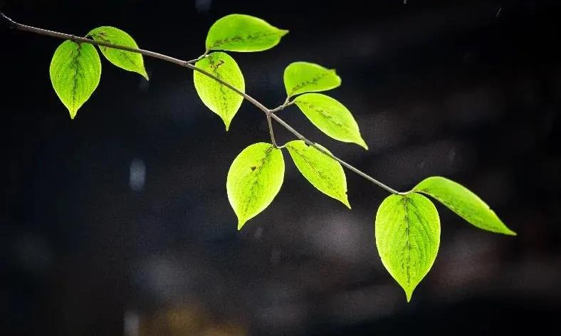 ����̫æ��ûʱ�����С��Ľ��֮����