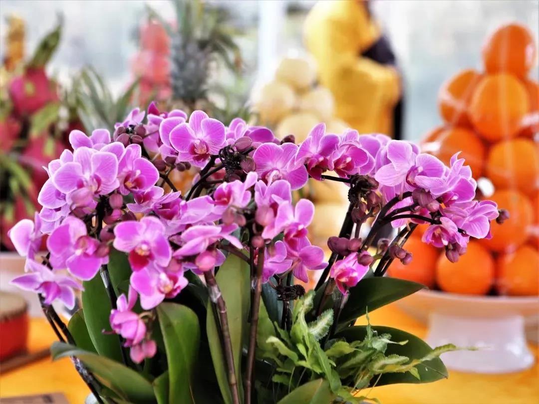 ��𷽷��ж��֣�Ϊ��������ʦ������ǿ���������