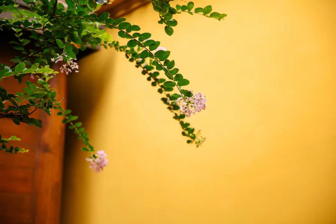 �������ǰ��ԳԸ��ϣ�����Ҳ����ҵ��?��