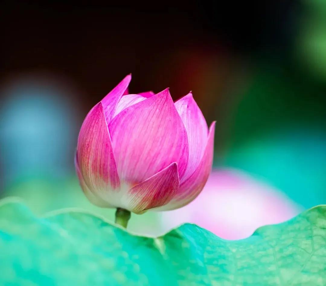 �������ǰ��ԳԸ��ϣ�����Ҳ����ҵ��?��