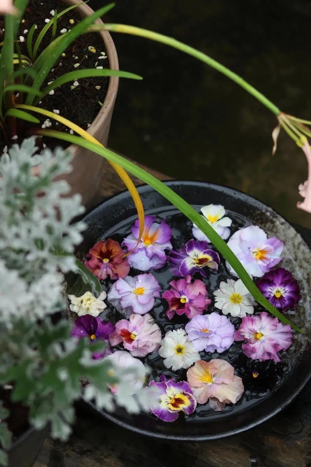 �Ȳ��������䣬Ҳ���ӱ���ʵ������������������