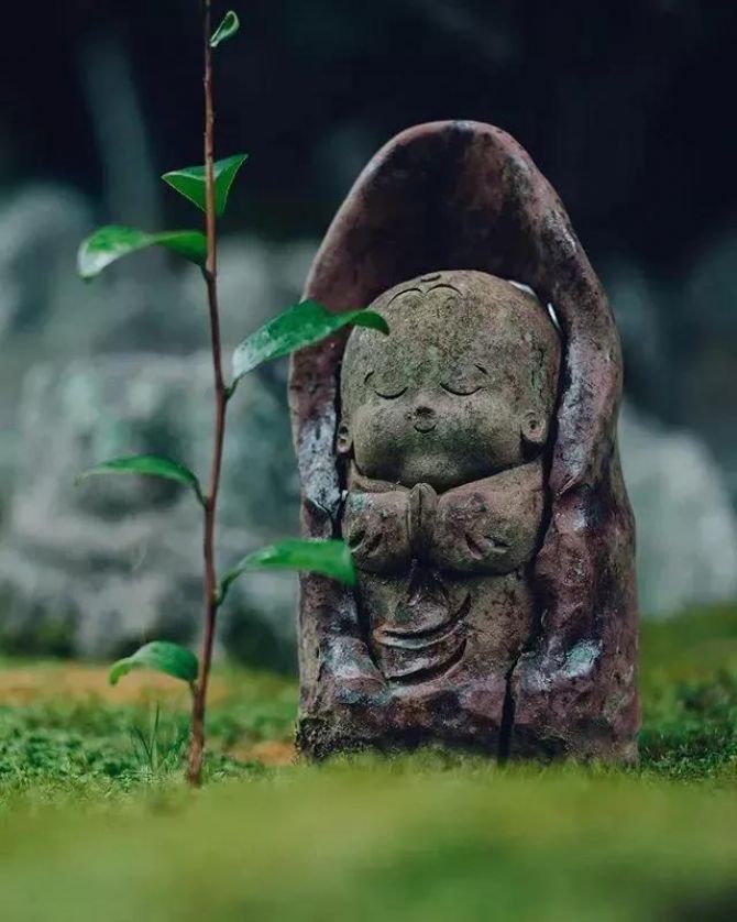 �����Ƕȿ�����ΥԵ����Ҳ�����˵��лл��