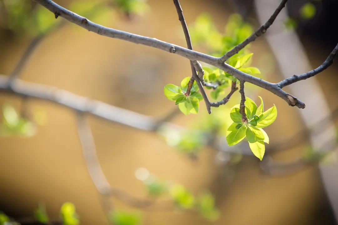 �����Ƕȿ�����ΥԵ����Ҳ�����˵��лл��