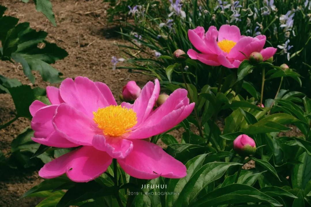 �����Ƕȿ�����ΥԵ����Ҳ�����˵��лл��