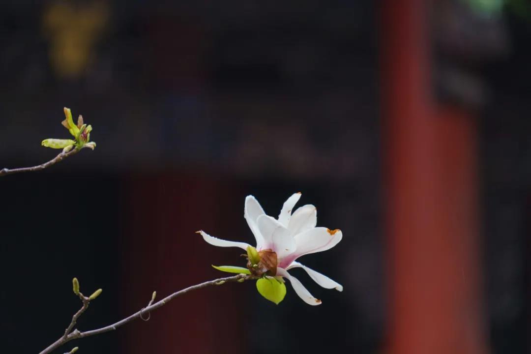 ��һ���Ӱ��ޣ������Ϻ��п�ʾ������Ⱦ�����