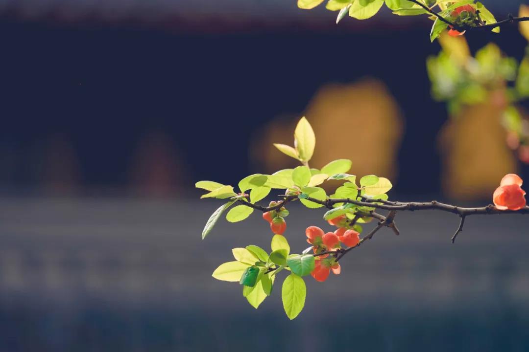 ��һ���Ӱ��ޣ������Ϻ��п�ʾ������Ⱦ�����