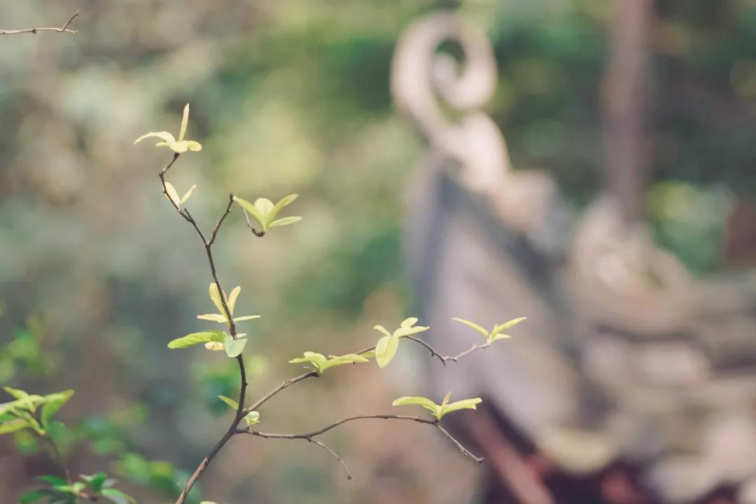 ��һ���Ӱ��ޣ������Ϻ��п�ʾ������Ⱦ�����