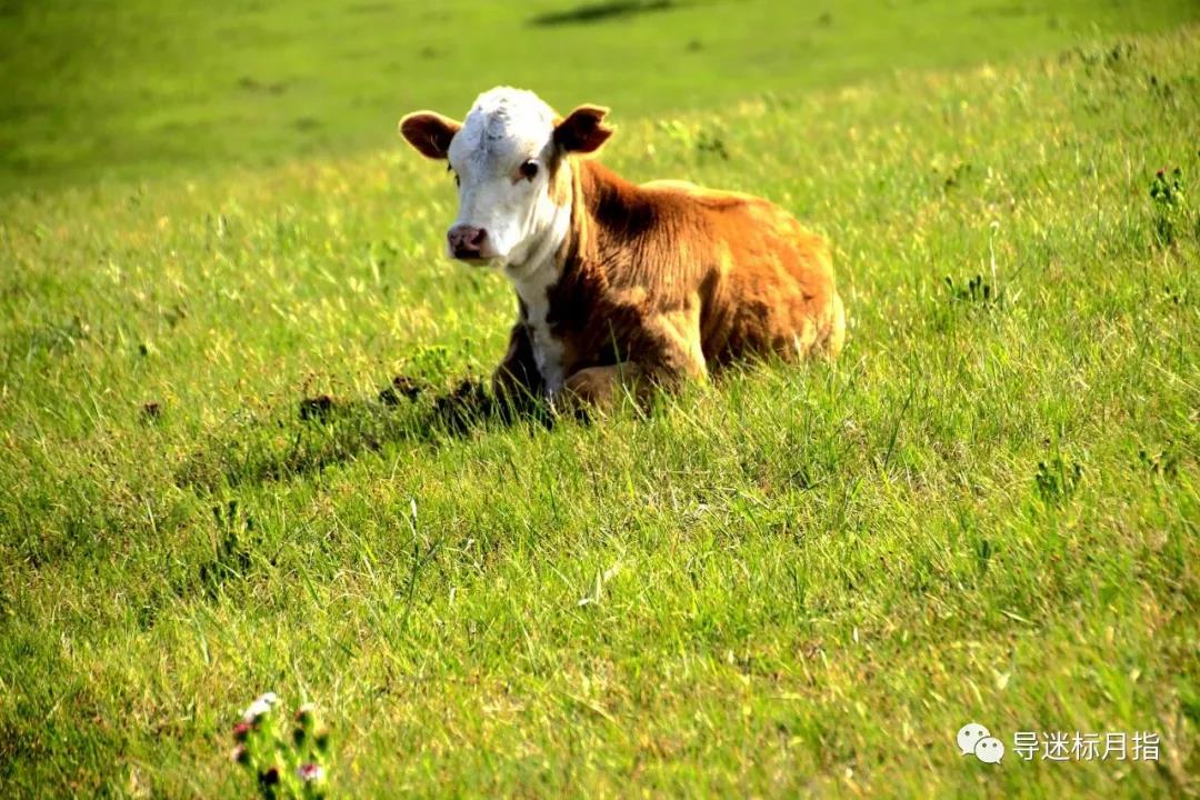 ��ʩ���¼��󣬵�ǧ��Ҫ��������ʮ���ֲ��徻��ʩ