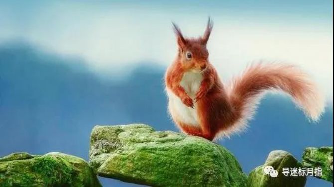 ��ʩ���¼��󣬵�ǧ��Ҫ��������ʮ���ֲ��徻��ʩ