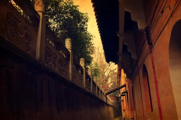 Ϊʲô���ò�����ʵ���棿ֻ��һ����