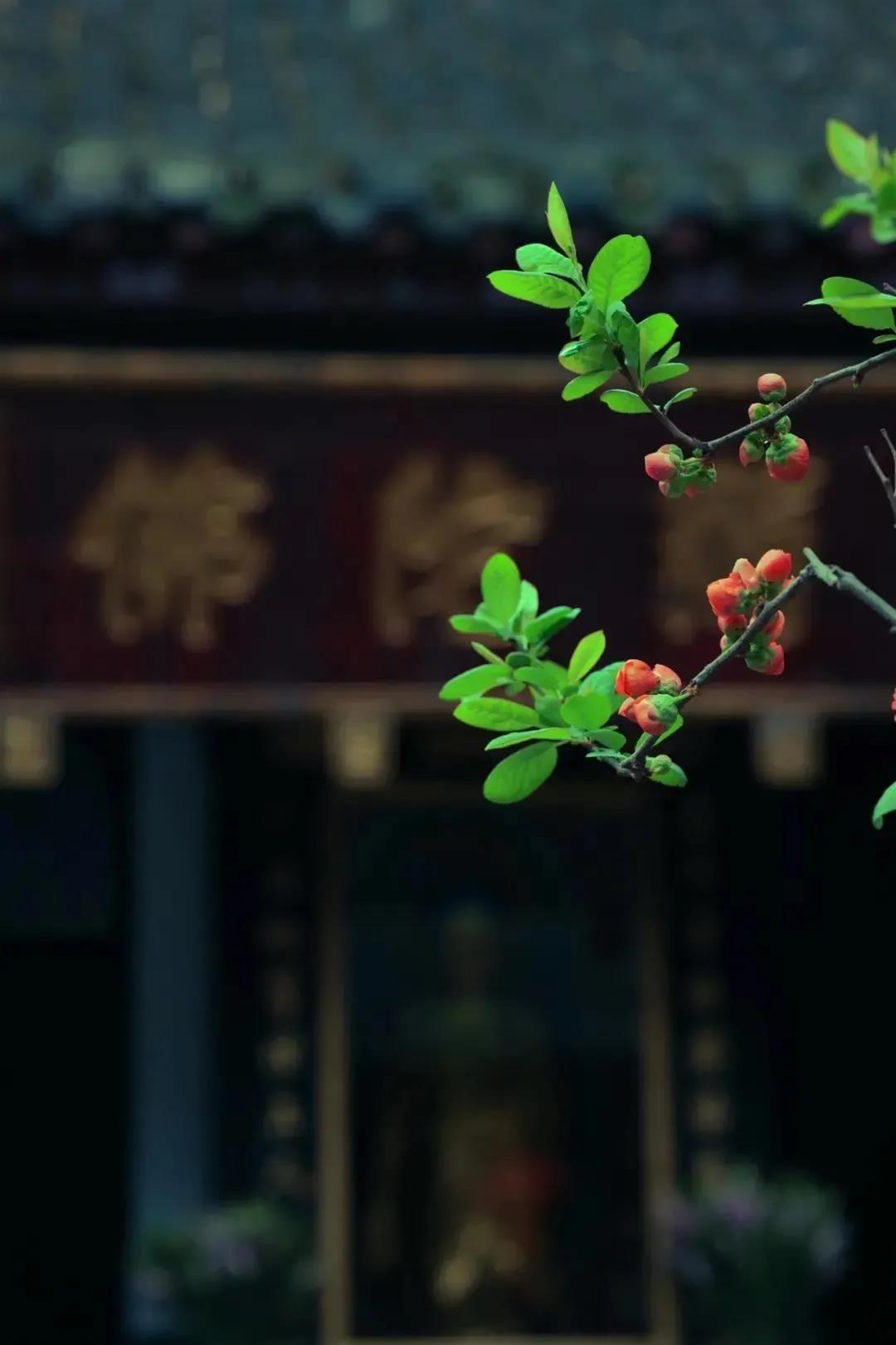 �����Ҫ�������ͳ��磡