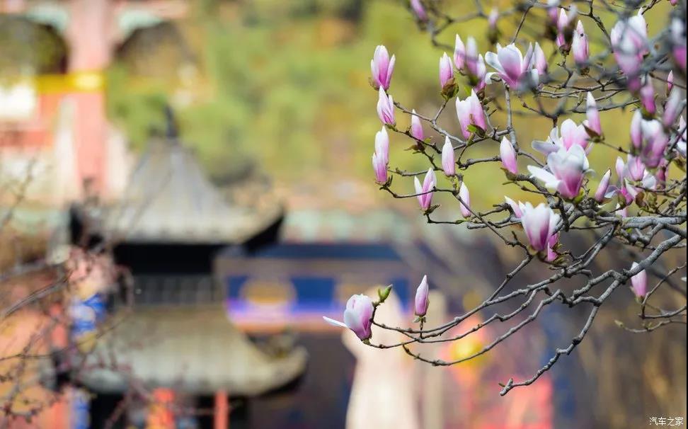 �޾���������ɻ���Ǽ��ӣ�ʲô�Ǽ��ӣ�