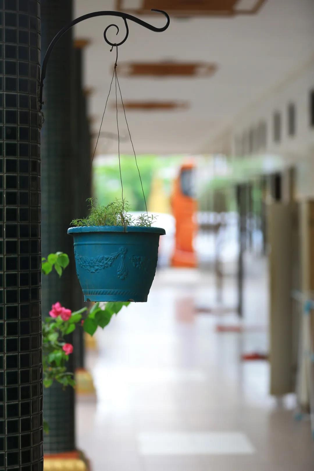 �ٻ������ˣ�Ҳ�������ַ���ȥ�ı�