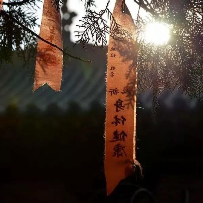 ��һ������ѧ����ˣ���Ҫ����Щ����ȥŬ���أ�
