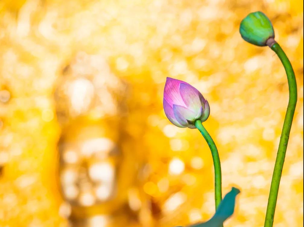 ��Ը��𣬶���һ������Ϊ�����ţ�