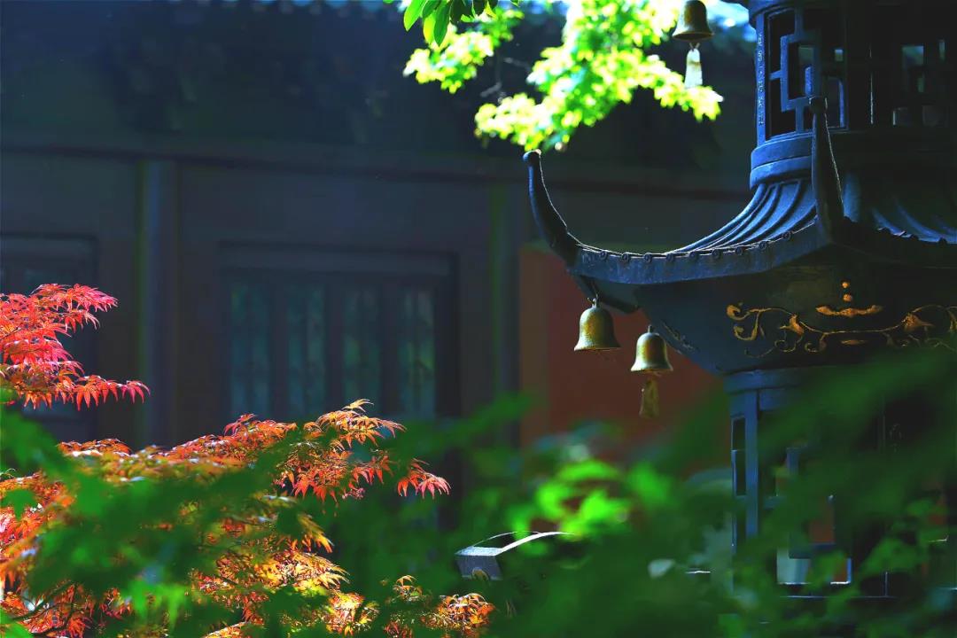 �ù������������ף������е�����û����������