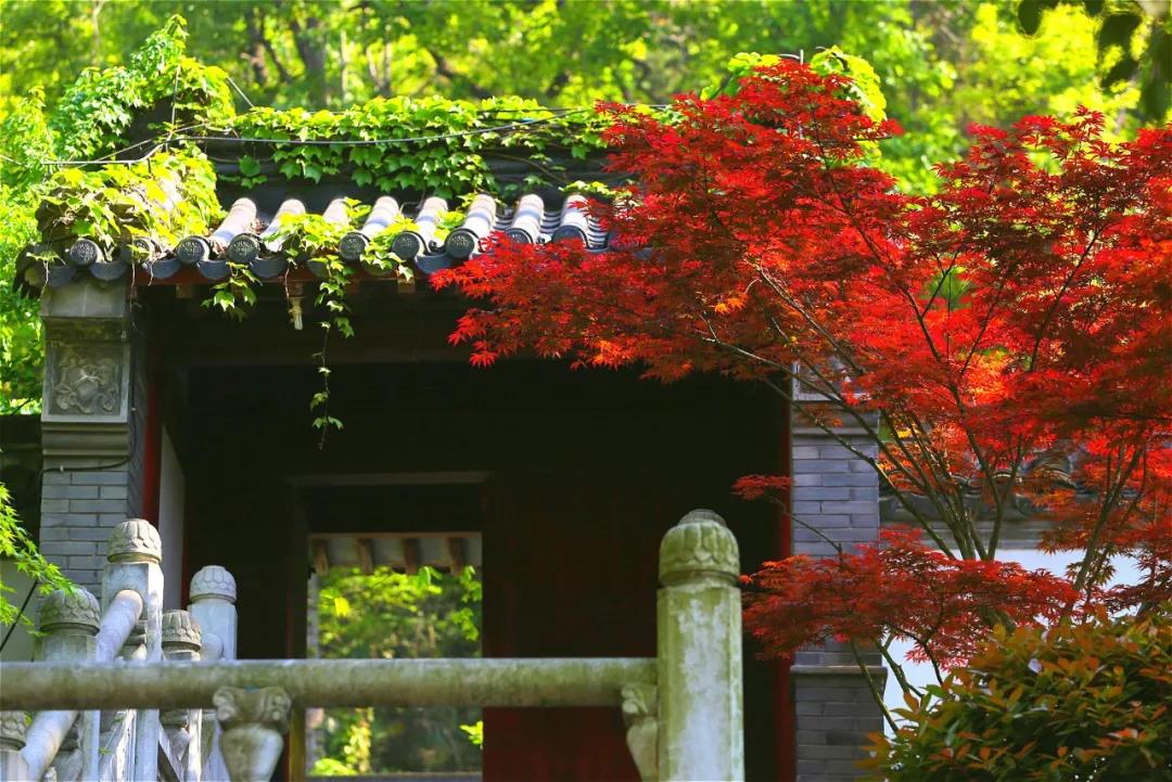 �ù������������ף������е�����û����������