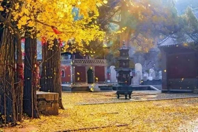 �����������ڡ����е�����������˵���Է��ݡ�и��