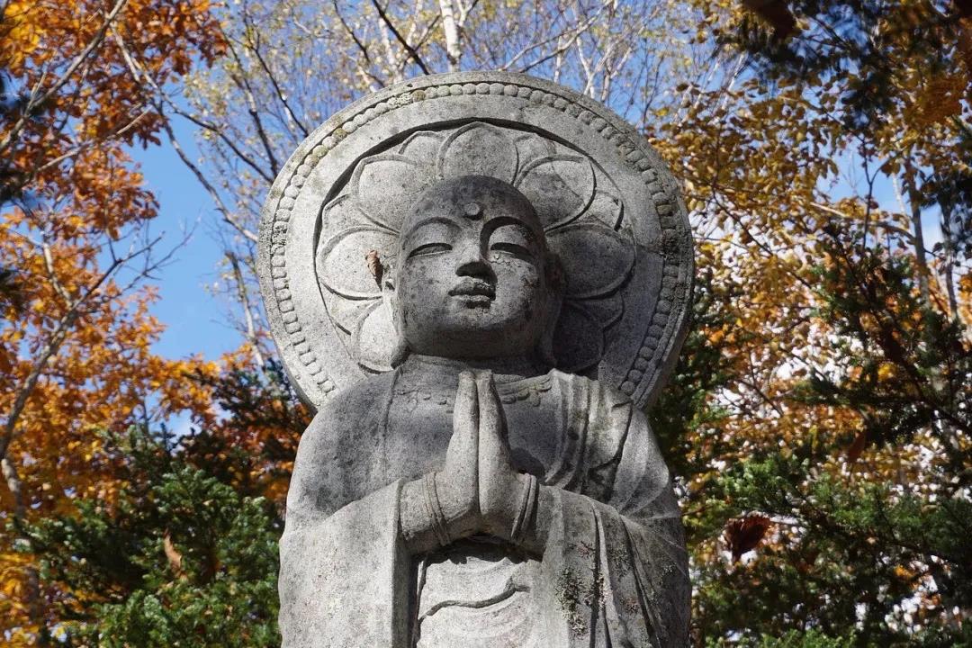 �����ܴ죬���鲻˳����Ϊʲô��ù�������ң�